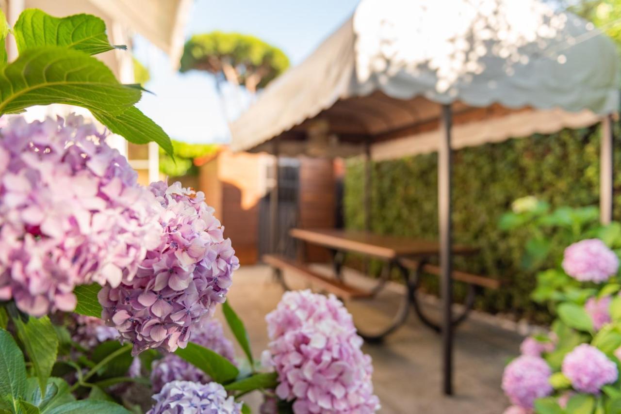 Apartment Holiday Versilia Camaiore Buitenkant foto